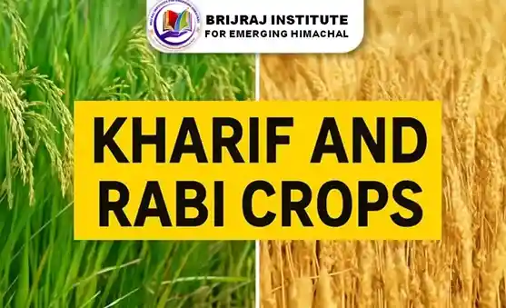 Rabi and Kharif Crops